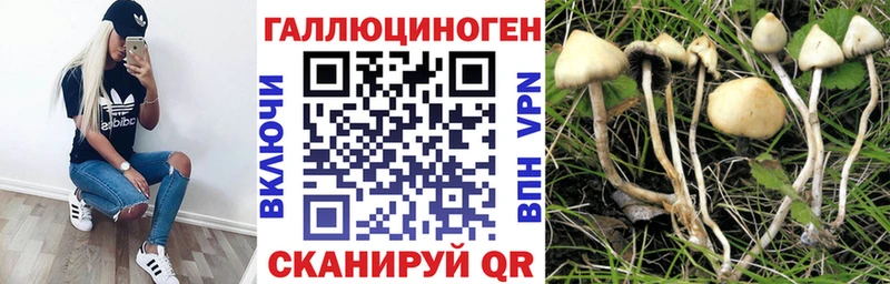 Галлюциногенные грибы Psilocybe  Купить где  Дальнереченск 